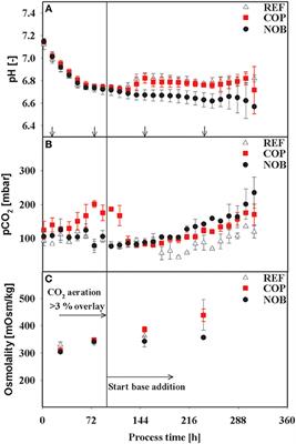 The Less the Better: How Suppressed Base Addition Boosts Production of Monoclonal Antibodies With Chinese Hamster Ovary Cells